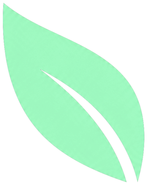 Adventis Consulting